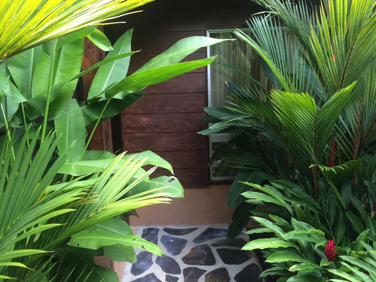 Mussaenda, Arenal Hotel La Fortuna Bagian luar foto