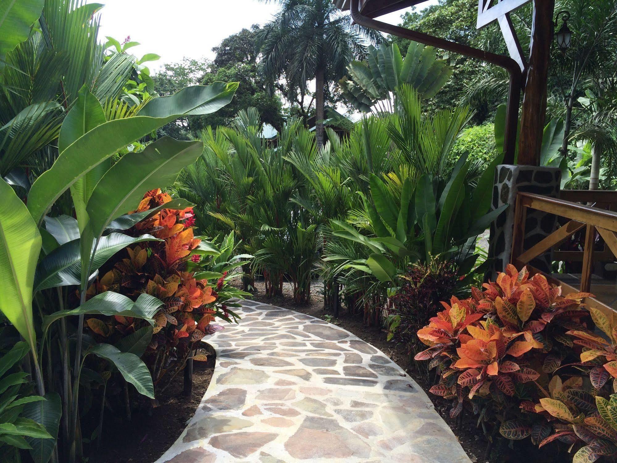 Mussaenda, Arenal Hotel La Fortuna Bagian luar foto