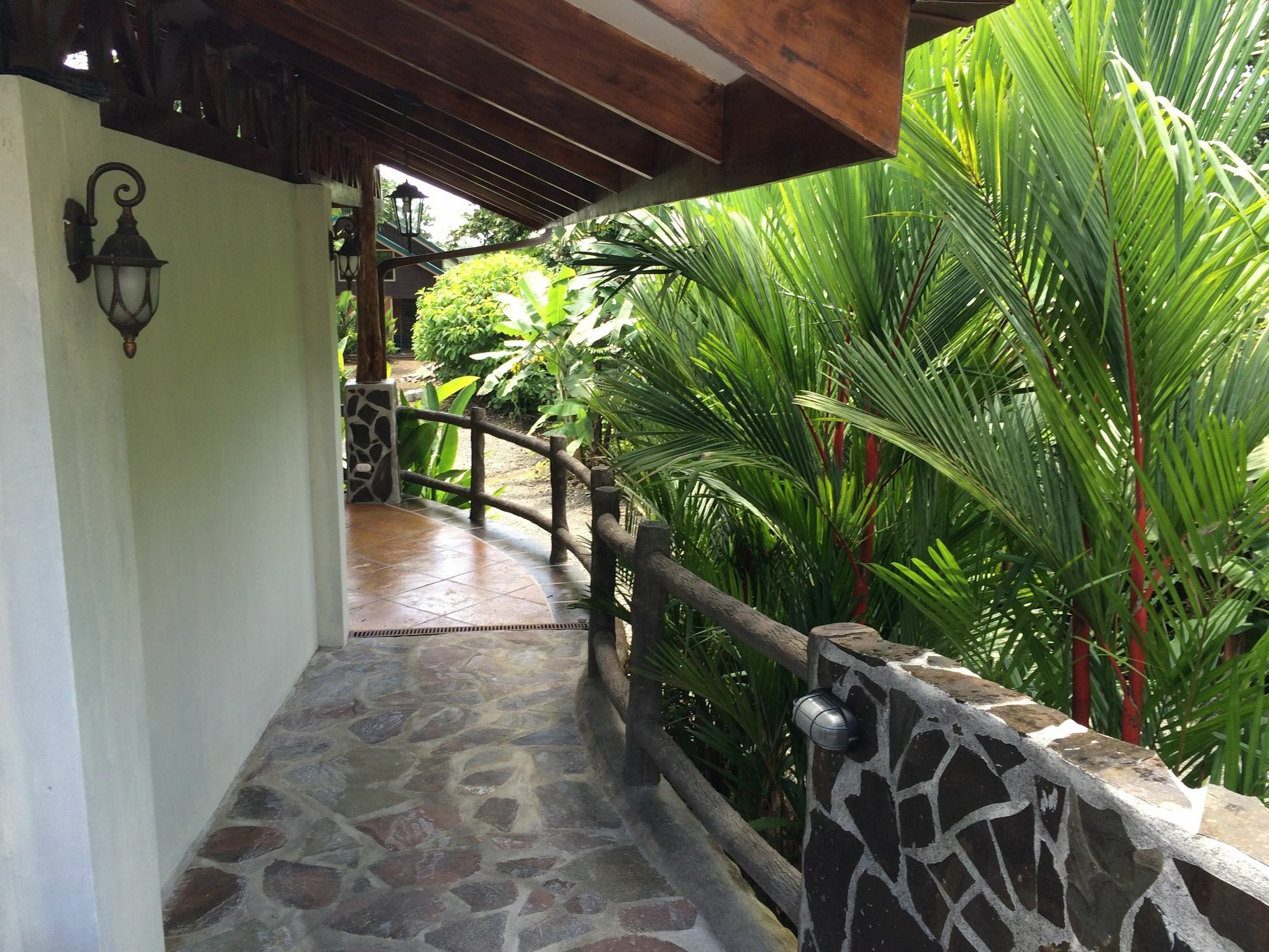 Mussaenda, Arenal Hotel La Fortuna Bagian luar foto